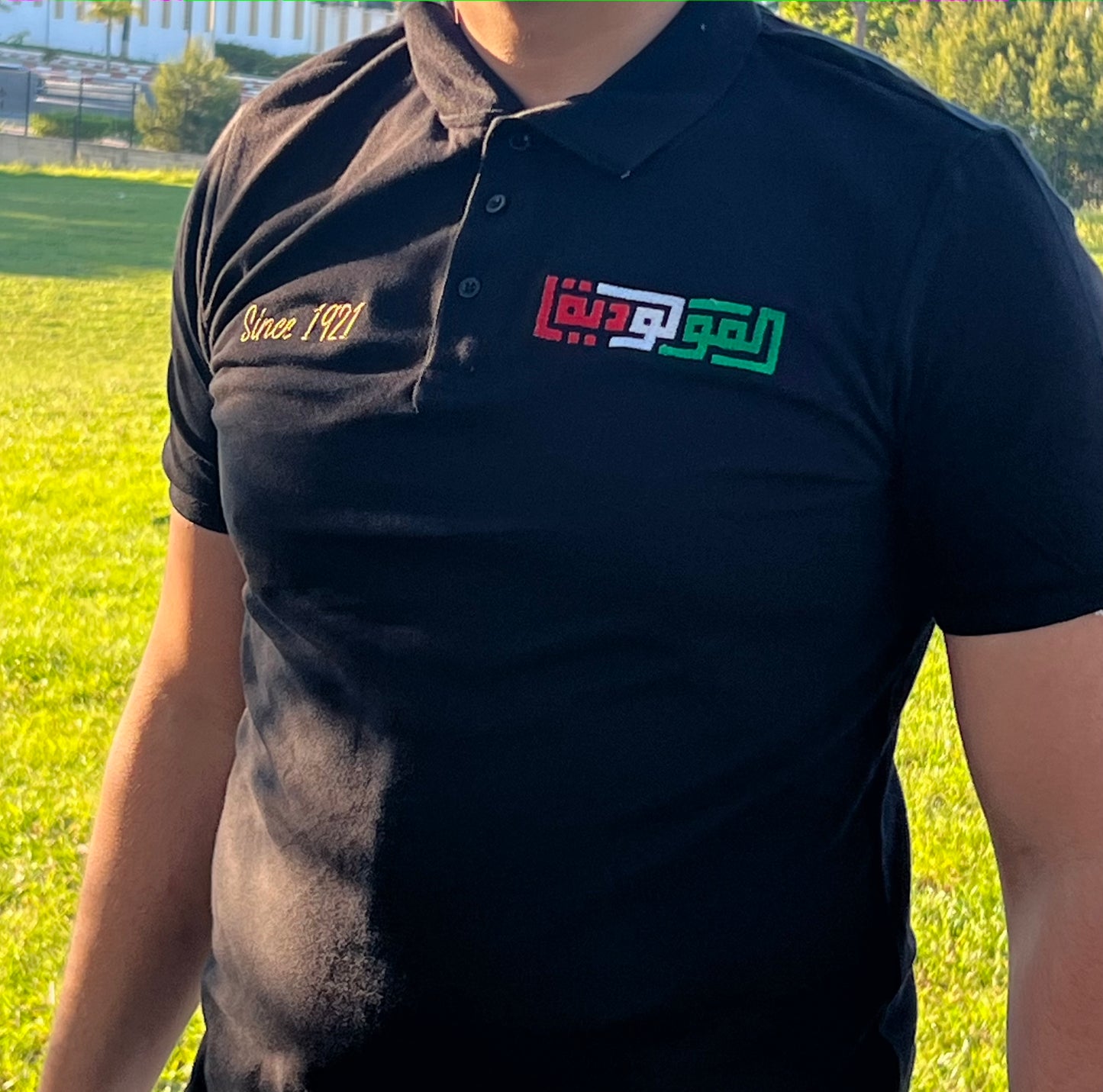 🔴🟢 تيشرت POLOمولودية الجزائر – قطن 100% تطريز احترافي