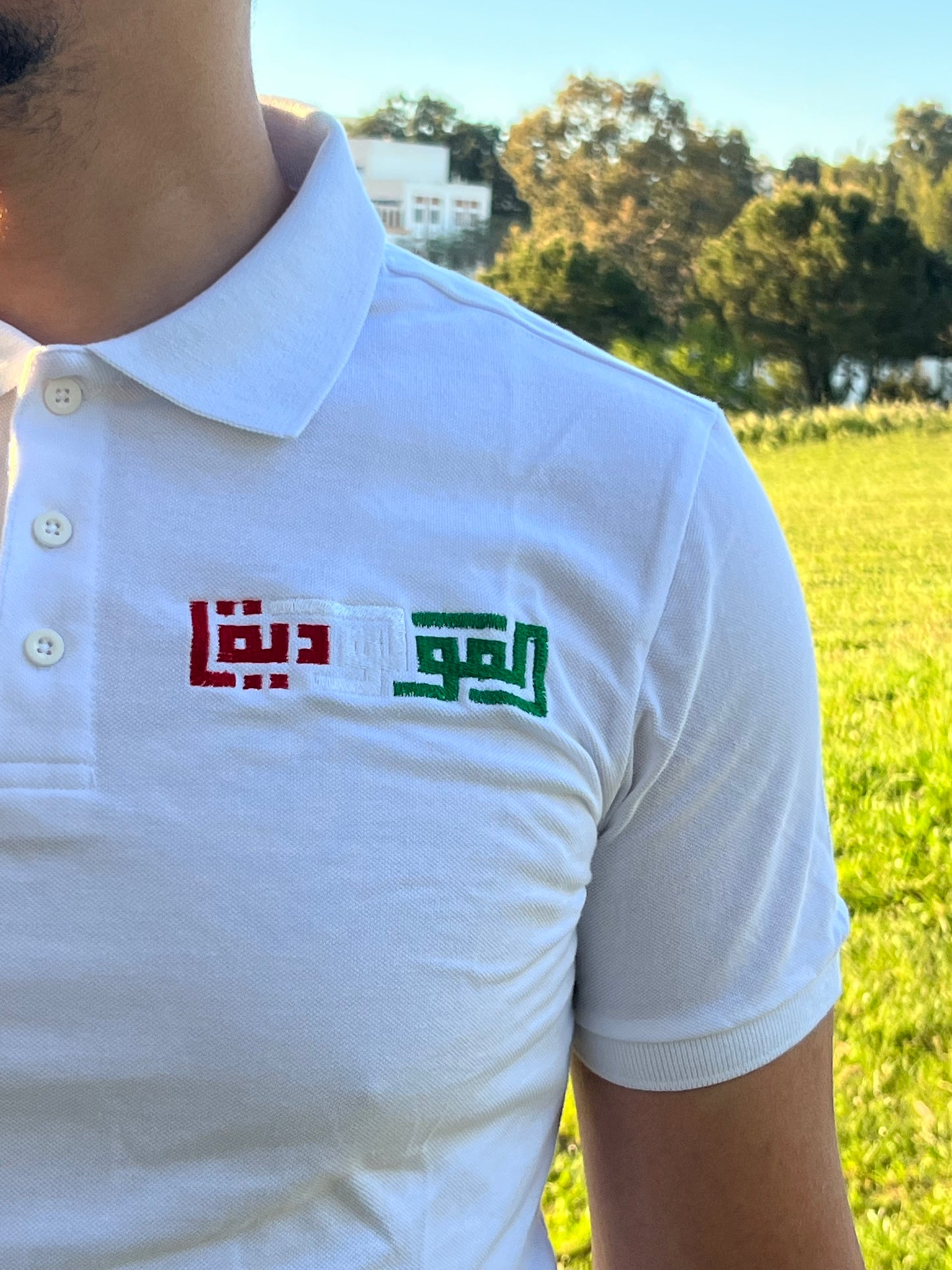 🔴🟢 تيشرت POLOمولودية الجزائر – قطن 100% تطريز احترافي